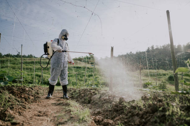 Best Mosquito Control Services  in Spring Lake Heights, NJ