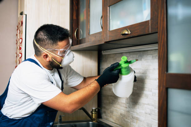 Best Best Pest Control Companies  in Spring Lake Heights, NJ