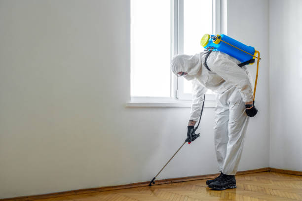 Professional Pest Control in Spring Lake Heights, NJ