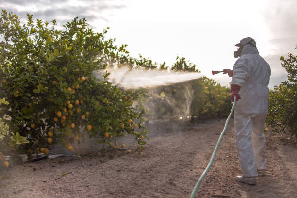 Best Exterminator Services  in Spring Lake Heights, NJ