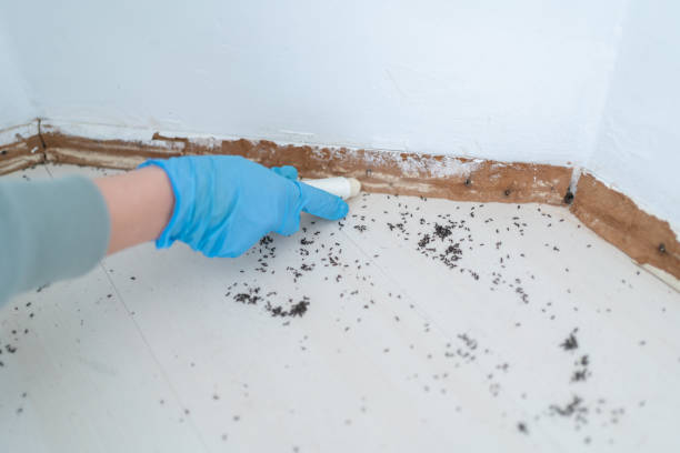 Best Pest Prevention Services  in Spring Lake Heights, NJ
