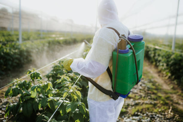 Best Affordable Pest Control Services  in Spring Lake Heights, NJ